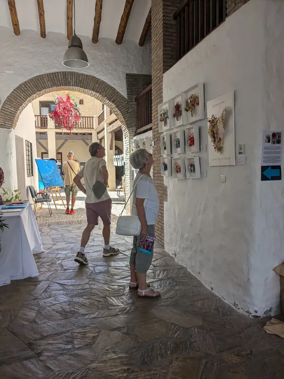 PXL_20241004_105549221.MP